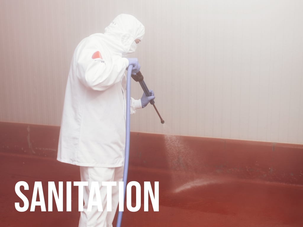 Sanitation: Power washing