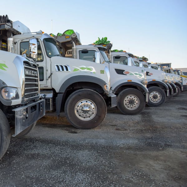 Row of Dump Trucks